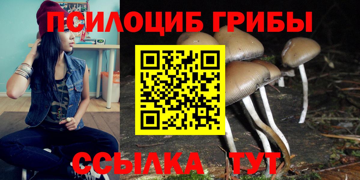 Галлюциногенные грибы мицелий  Псилоцибиновые грибы GOLDEN TEACHER  Волжск  Вход с VPN 